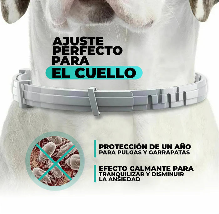 PetSafe - Collar antipulgas 12 Meses de Protección Natural X2