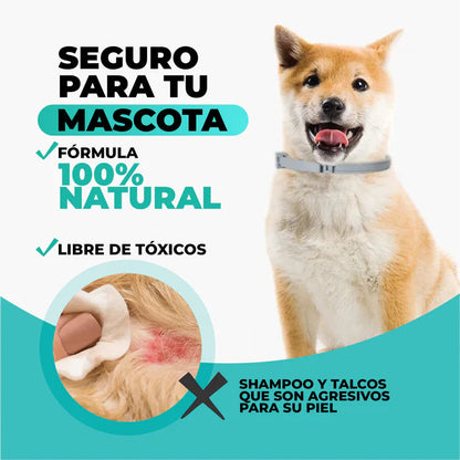 PetSafe - Collar antipulgas 12 Meses de Protección Natural X2